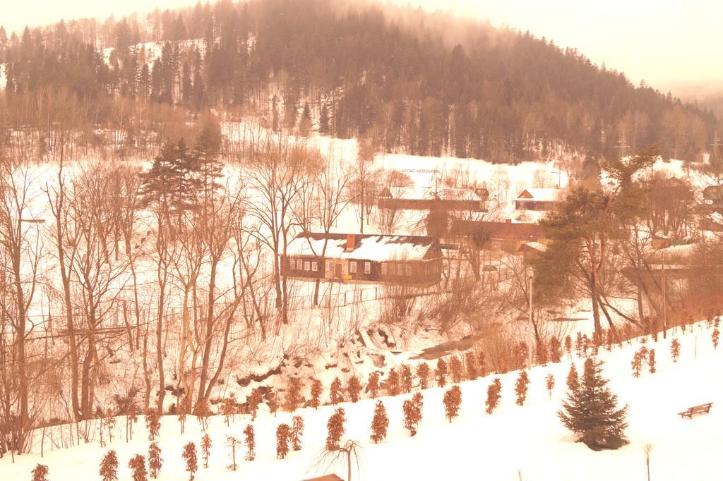Czarny Potok Apartment *
